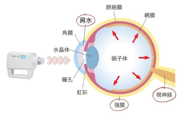 眼圧を一定に保つ